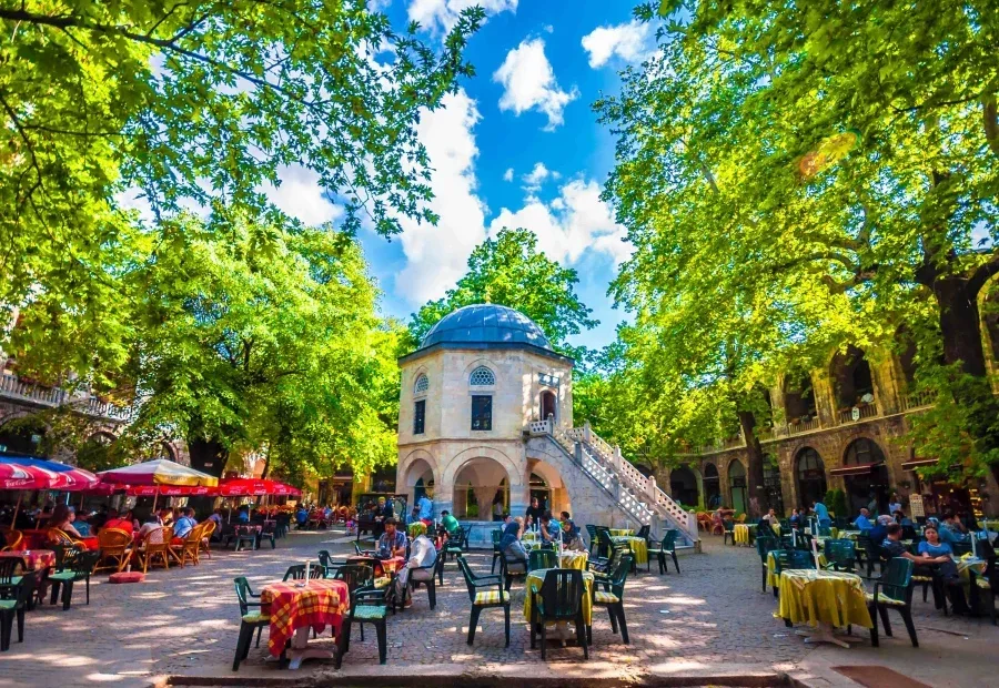Bilecik - Istanbul VIP Transfer