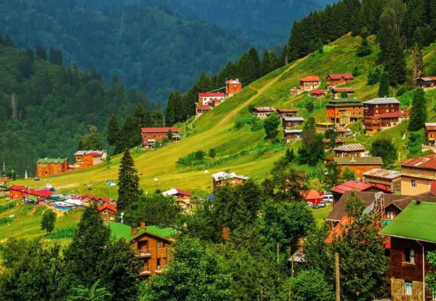 Istanbul - Rize VIP Transfer